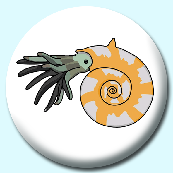 Amenite Button Badge