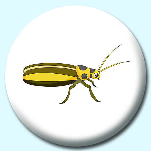 Cucumber Beetle Insects Button Badge