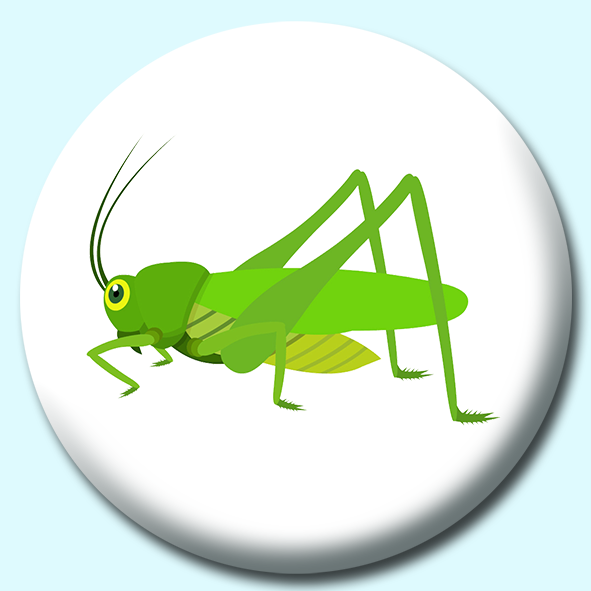 Green Grasshopper Insect Button Badge