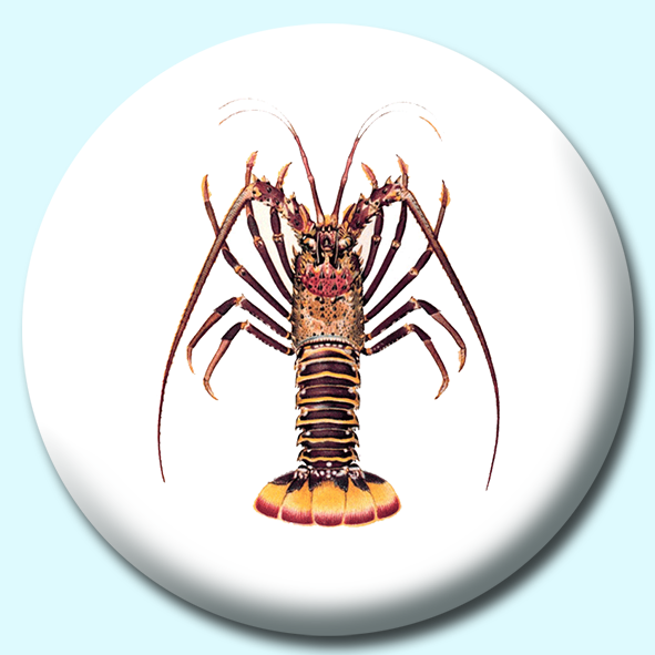 Lobster Button Badge