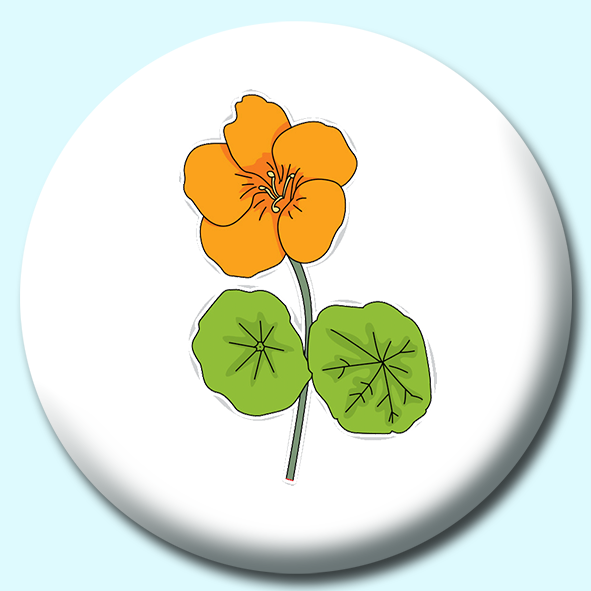 Nasturtium Flower Button Badge