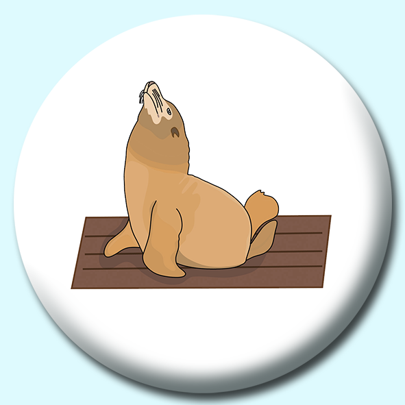 Seal On Wharf  Button Badge