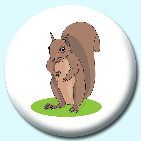 Squirrel  Button Badge