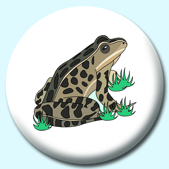 Toad Button Badge