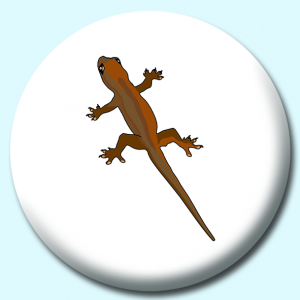 Personalised Badge: 38mm Brown Gecko Button Badge. Create your own custom badge - complete the form and we will create your personalised button badge for you.
