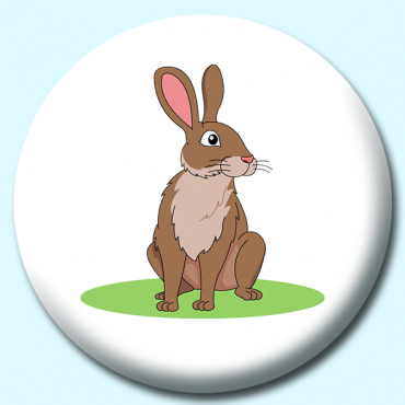 38mm Brown Rabbit... 