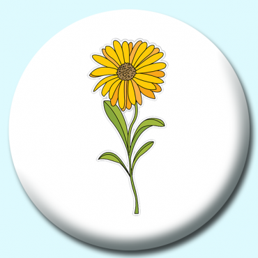 38mm Calendula Flower... 