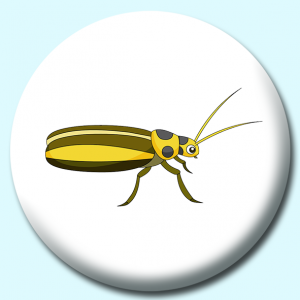 Personalised Badge: 38mm Cucumber Beetle Insects Button Badge. Create your own custom badge - complete the form and we will create your personalised button badge for you.