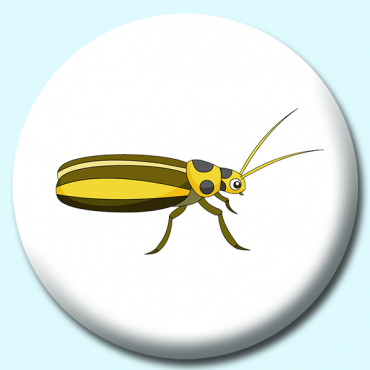 38mm Cucumber Beetle... 