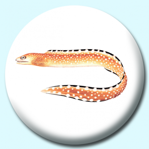 Personalised Badge: 75mm Eel Button Badge. Create your own custom badge - complete the form and we will create your personalised button badge for you.