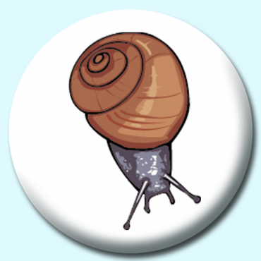 38mm Garden Snail... 