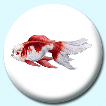 38mm Goldfish Button... 