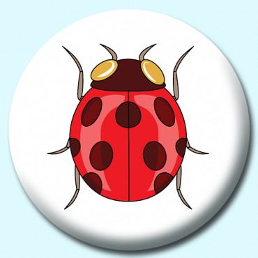 58mm Ladybug Insects... 