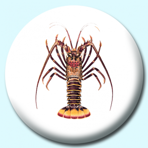 Personalised Badge: 38mm Lobster Button Badge. Create your own custom badge - complete the form and we will create your personalised button badge for you.