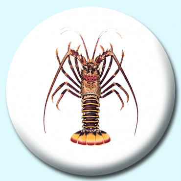 38mm Lobster Button... 