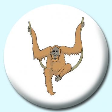 58mm Orangutan Hanging... 