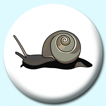 38mm Snail Button... 