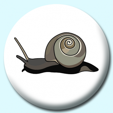 25mm Snail Button... 