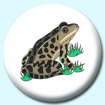 58mm Toad Button... 