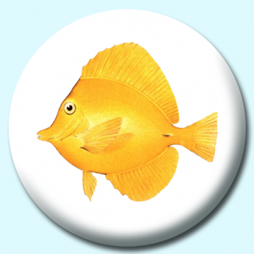 38mm Yellow Tang... 